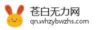 苍白无力网